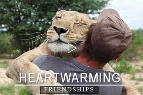 Unlikely animal friendship | amazing human and animal friendships