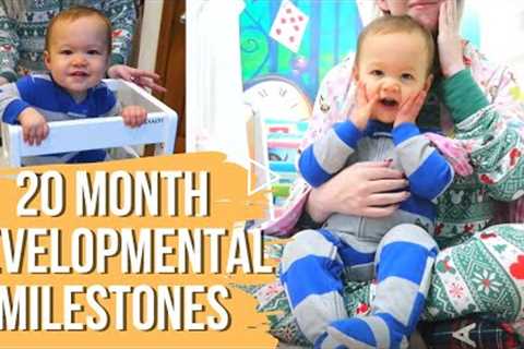 20 MONTH DEVELOPMENTAL MILESTONES & ACTIVITIES | Using the Ages & Stages Questionnaire for..