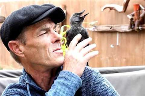 Man and This Wild Bird Have an Adorable Bond After a Chance Roadside Encounter