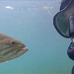 Man Became Friends With a Fish and the Pair ‘Meet’ Every Summer in the Same Wisconsin Lake