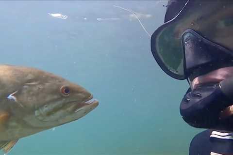 Man Became Friends With a Fish and the Pair ‘Meet’ Every Summer in the Same Wisconsin Lake