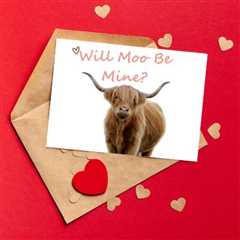 Adorable Cow Valentine’s Day Card