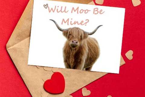 Adorable Cow Valentine’s Day Card