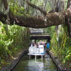 Navigating Family Outdoor Activities in Central Florida: Weather Considerations for Parents