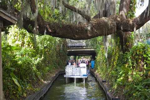 Navigating Family Outdoor Activities in Central Florida: Weather Considerations for Parents